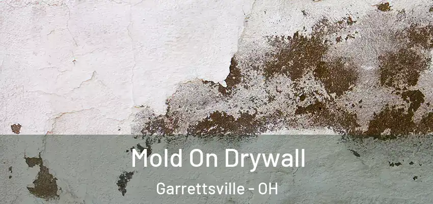 Mold On Drywall Garrettsville - OH