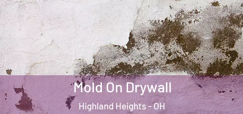 Mold On Drywall Highland Heights - OH
