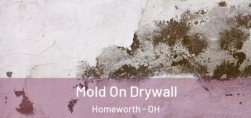  Mold On Drywall Homeworth - OH