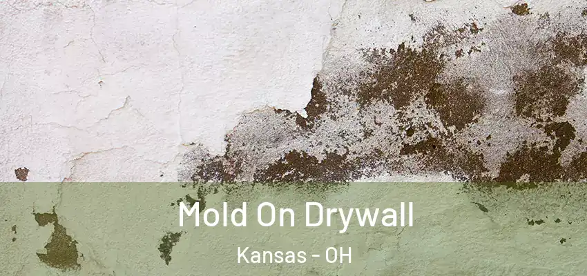 Mold On Drywall Kansas - OH