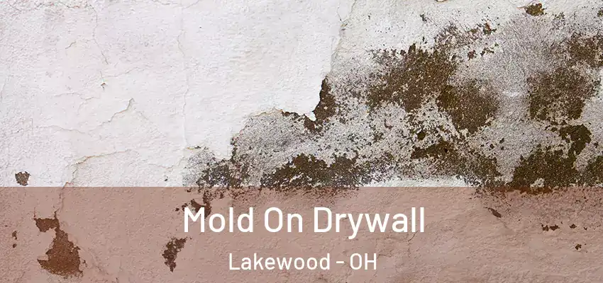 Mold On Drywall Lakewood - OH