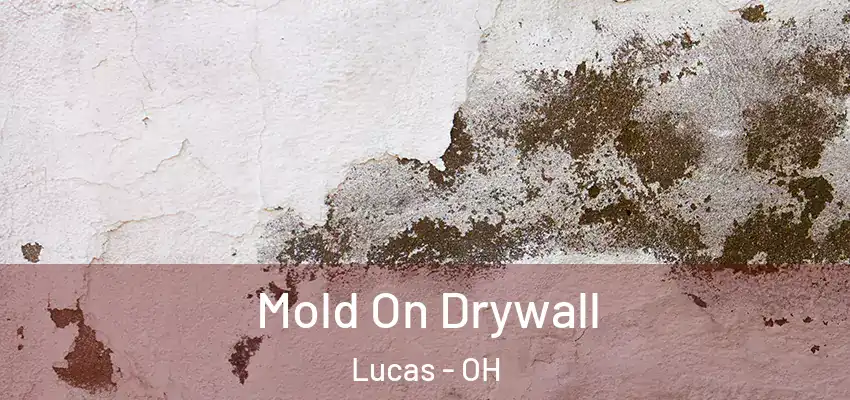 Mold On Drywall Lucas - OH