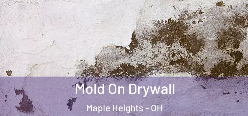 Mold On Drywall Maple Heights - OH