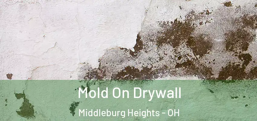 Mold On Drywall Middleburg Heights - OH
