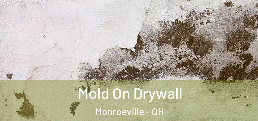 Mold On Drywall Monroeville - OH