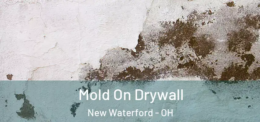  Mold On Drywall New Waterford - OH