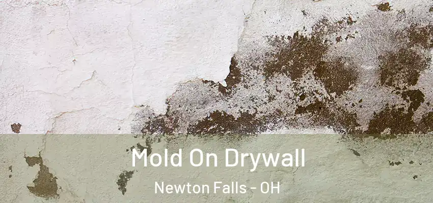 Mold On Drywall Newton Falls - OH