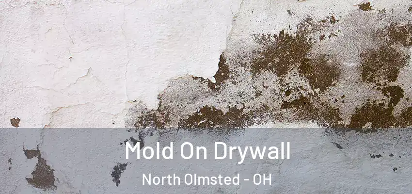  Mold On Drywall North Olmsted - OH
