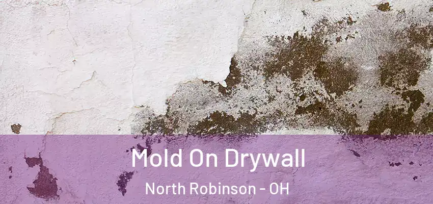 Mold On Drywall North Robinson - OH