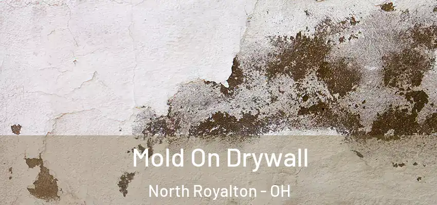  Mold On Drywall North Royalton - OH