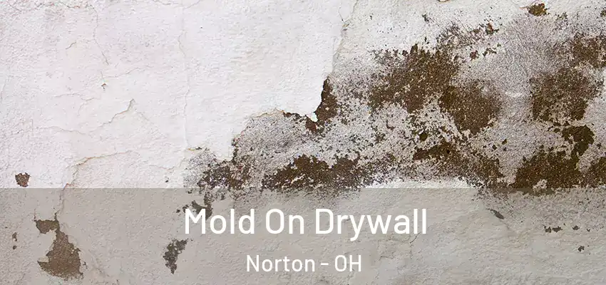 Mold On Drywall Norton - OH