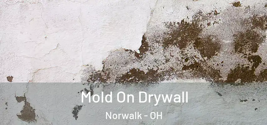 Mold On Drywall Norwalk - OH