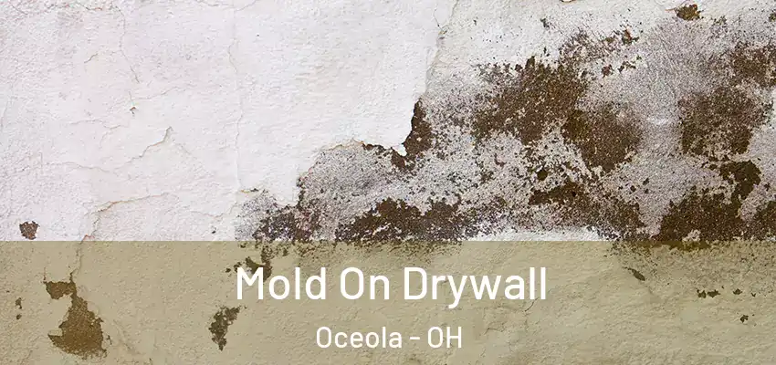 Mold On Drywall Oceola - OH