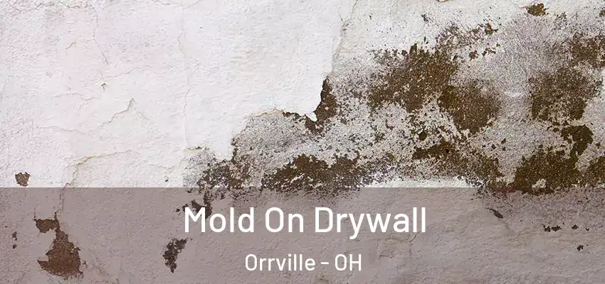  Mold On Drywall Orrville - OH