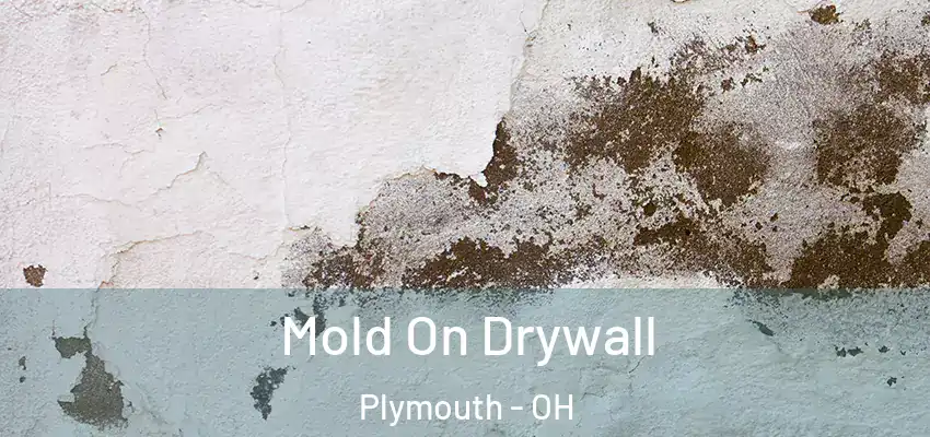  Mold On Drywall Plymouth - OH