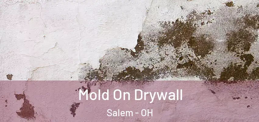 Mold On Drywall Salem - OH