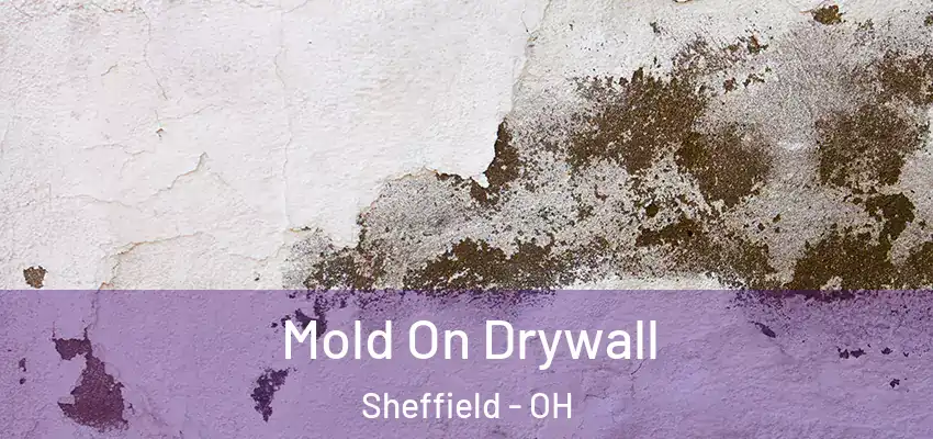 Mold On Drywall Sheffield - OH