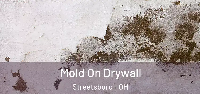 Mold On Drywall Streetsboro - OH