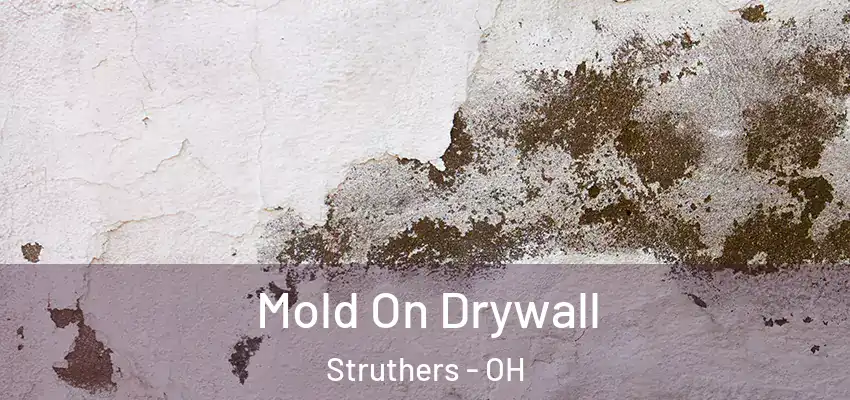  Mold On Drywall Struthers - OH