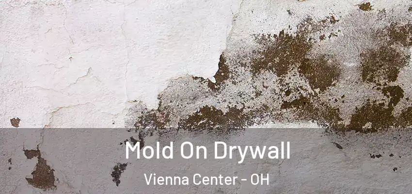 Mold On Drywall Vienna Center - OH