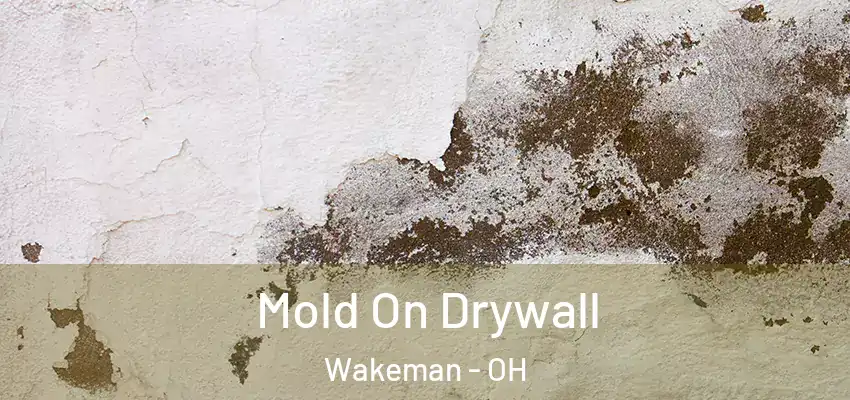 Mold On Drywall Wakeman - OH