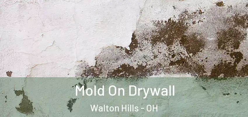  Mold On Drywall Walton Hills - OH