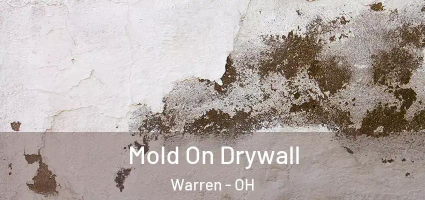 Mold On Drywall Warren - OH
