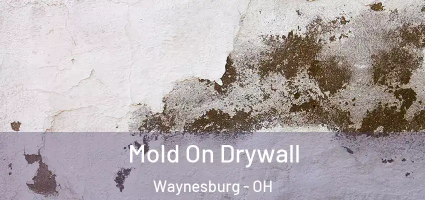 Mold On Drywall Waynesburg - OH