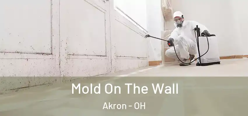 Mold On The Wall Akron - OH