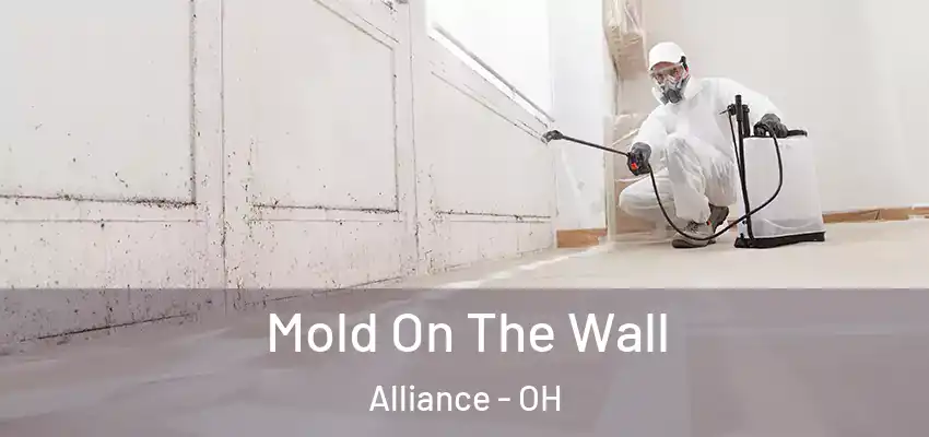 Mold On The Wall Alliance - OH