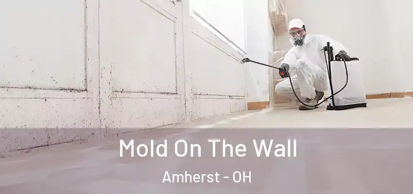 Mold On The Wall Amherst - OH