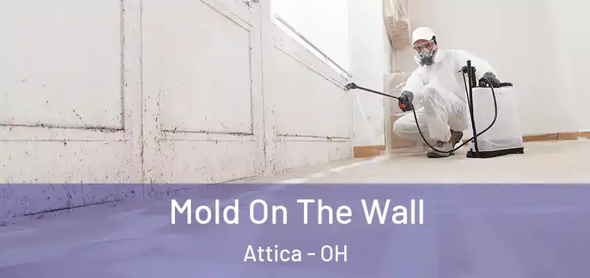 Mold On The Wall Attica - OH