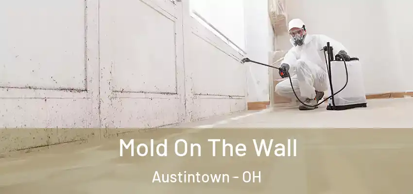 Mold On The Wall Austintown - OH