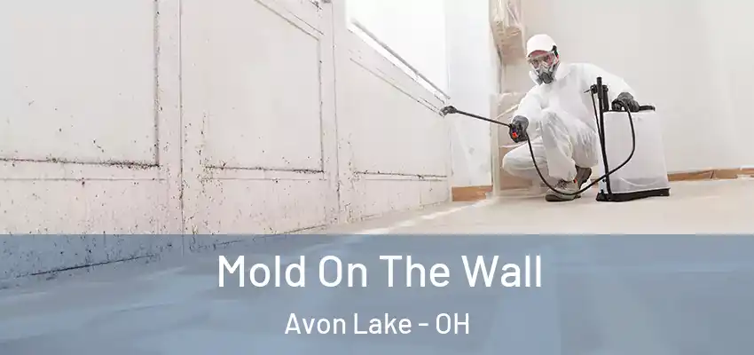 Mold On The Wall Avon Lake - OH
