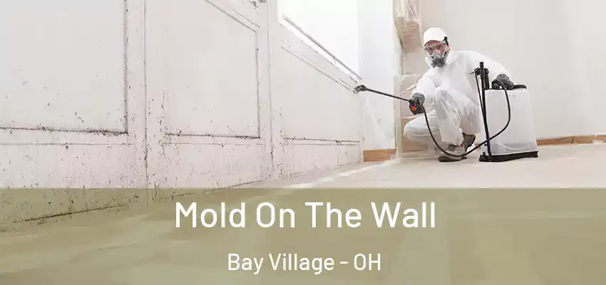  Mold On The Wall Bay Village - OH