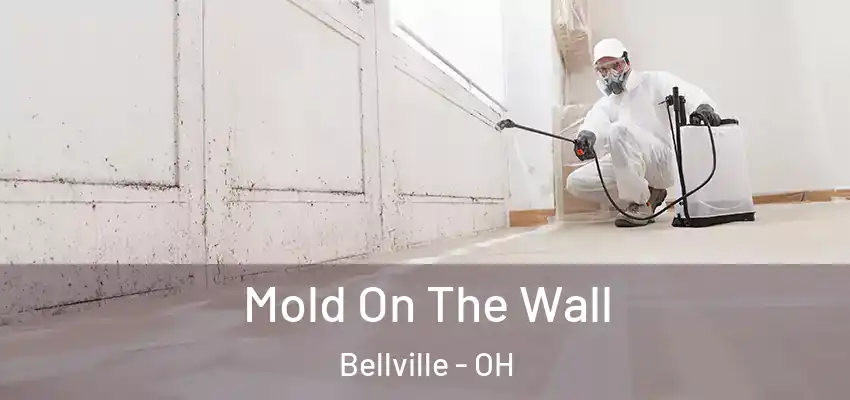 Mold On The Wall Bellville - OH
