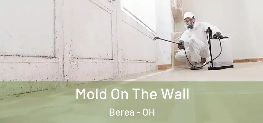 Mold On The Wall Berea - OH