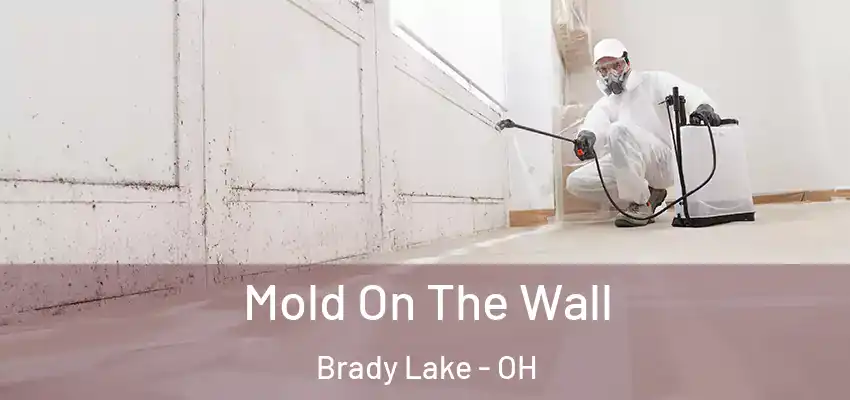Mold On The Wall Brady Lake - OH