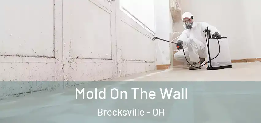 Mold On The Wall Brecksville - OH
