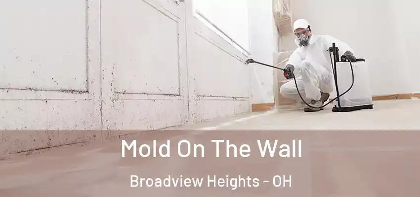 Mold On The Wall Broadview Heights - OH