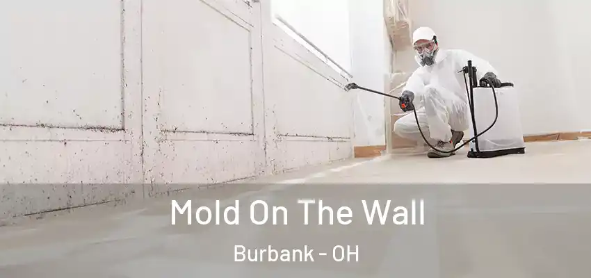 Mold On The Wall Burbank - OH