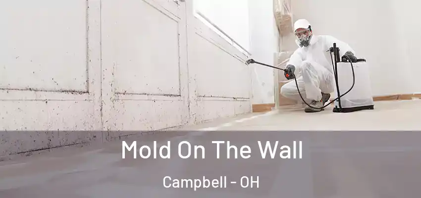 Mold On The Wall Campbell - OH