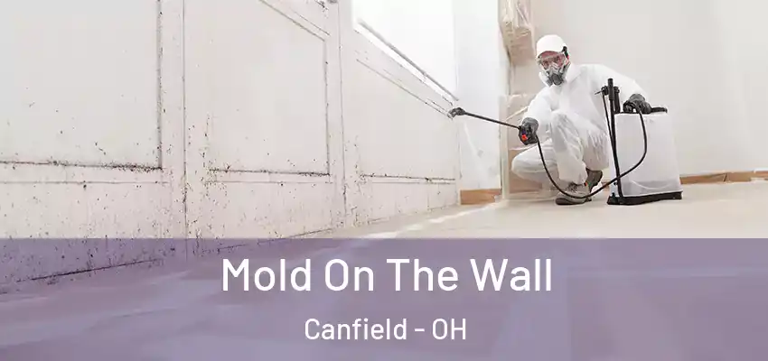 Mold On The Wall Canfield - OH
