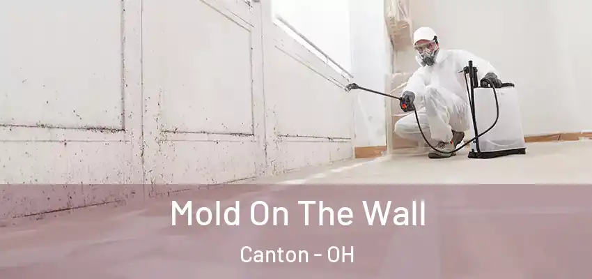 Mold On The Wall Canton - OH