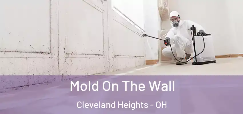  Mold On The Wall Cleveland Heights - OH