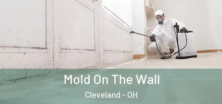Mold On The Wall Cleveland - OH