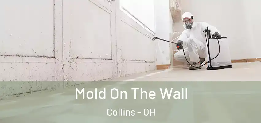 Mold On The Wall Collins - OH