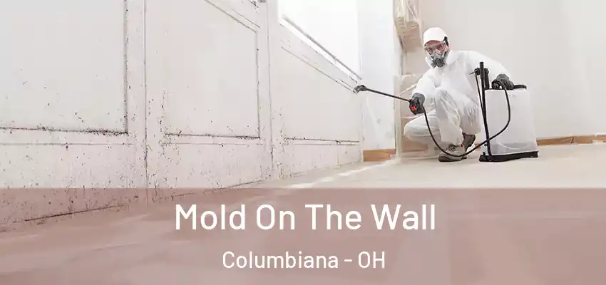  Mold On The Wall Columbiana - OH