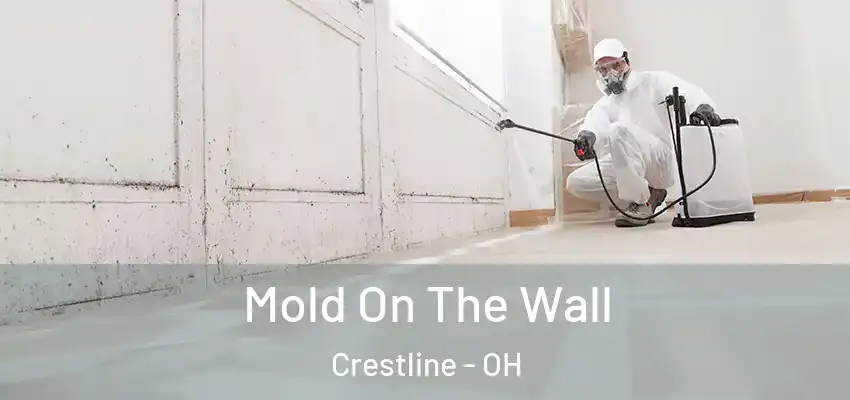 Mold On The Wall Crestline - OH