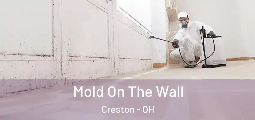 Mold On The Wall Creston - OH